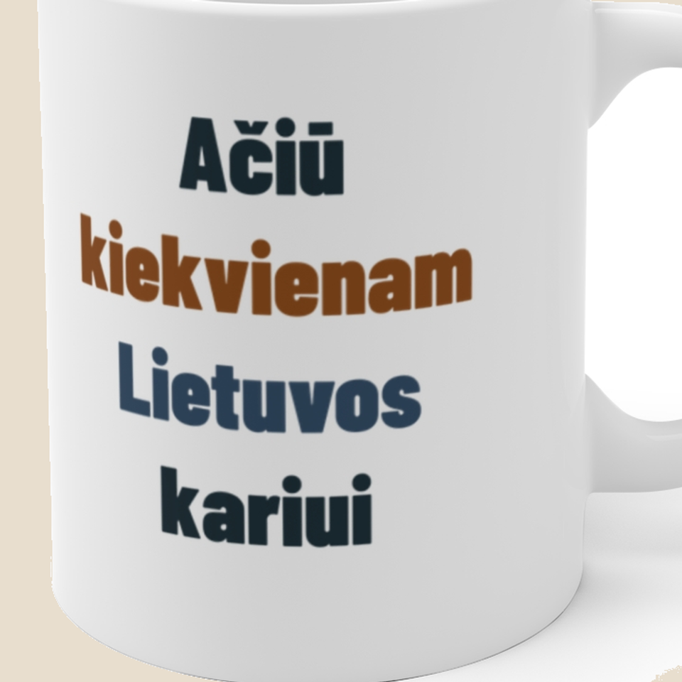 Ačiū kiekvienam Lietuvos kariui – artimas spaudos vaizdas