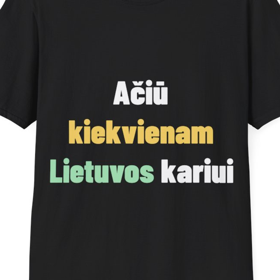 Ačiū kiekvienam Lietuvos kariui – artimas spaudos vaizdas