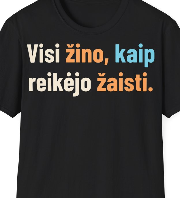 Visi žino, kaip reikėjo žaisti. – Marškinėliai, artimas spaudos vaizdas