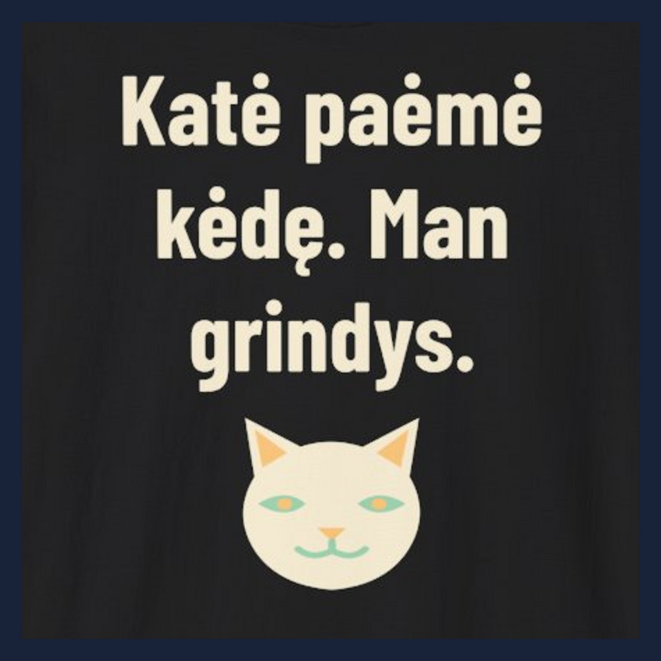 Katė paėmė kėdę. Man grindys. · Marškinėliai · Užrašo stambus planas