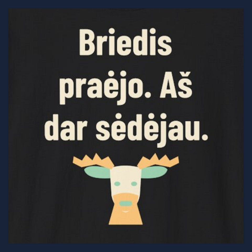 Briedis praėjo. Aš dar sėdėjau. · Marškinėliai · Užrašo stambus planas