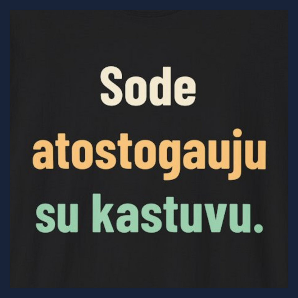 Sode atostogauju su kastuvu. · Marškinėliai · Užrašo stambus planas