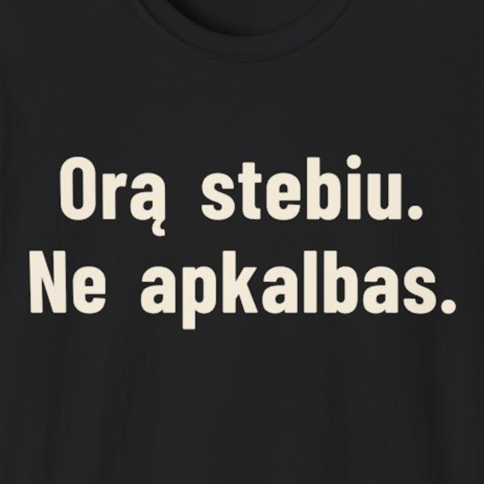 Orą stebiu. Ne apkalbas. – Marškinėliai, spaudos detalė
