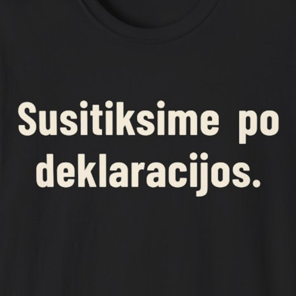 Susitiksime po deklaracijos. – Marškinėliai, spaudos detalė
