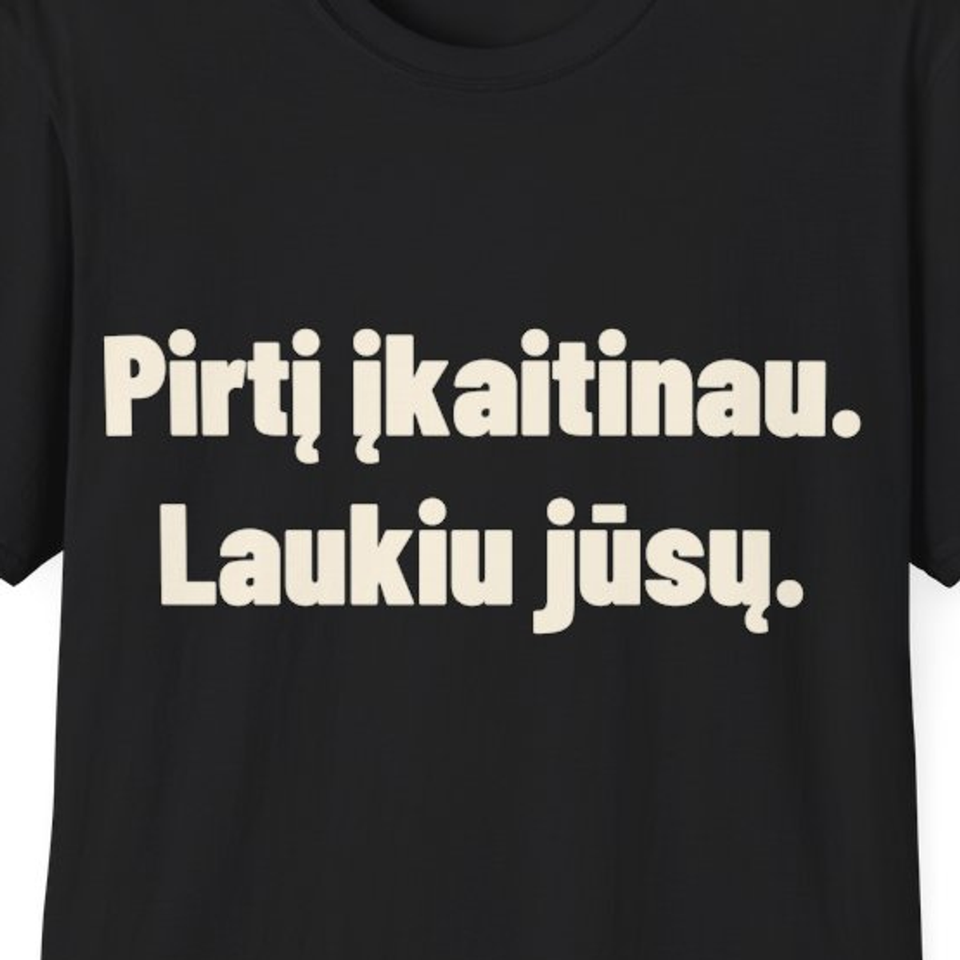 Pirtį įkaitinau. Laukiu jūsų. · Marškinėliai