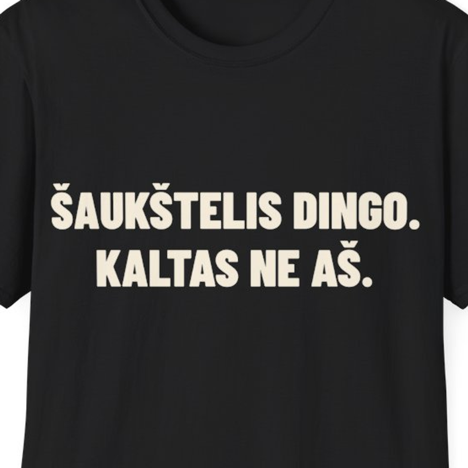 Šaukštelis dingo. Kaltas ne aš. · Marškinėliai