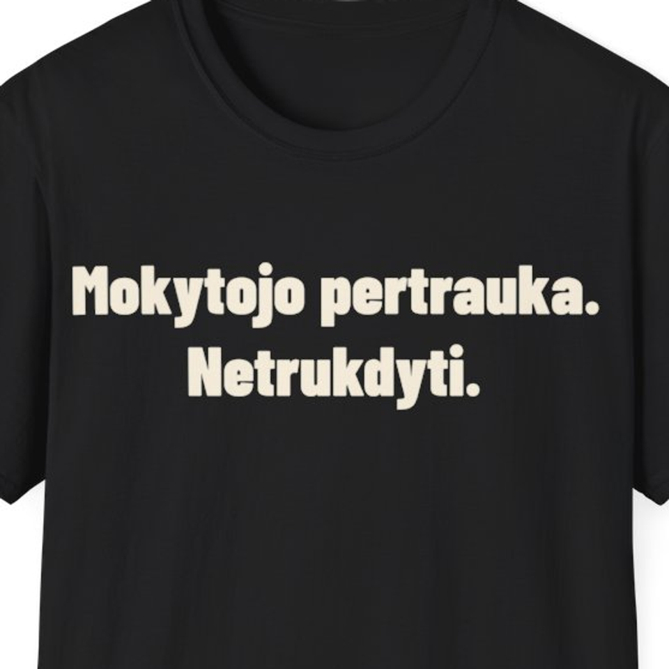 Mokytojo pertrauka. Netrukdyti. · Marškinėliai