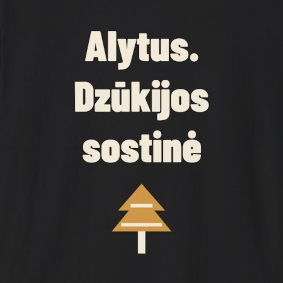 Alytus. Dzūkijos sostinė · Marškinėliai