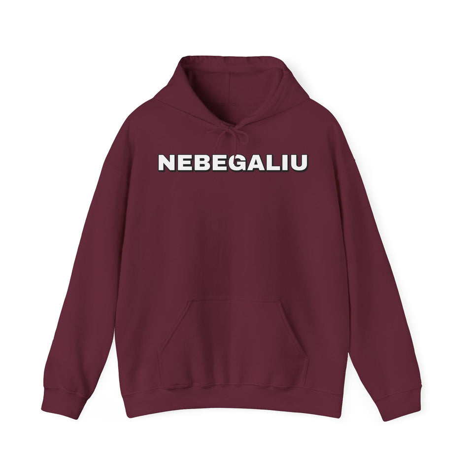 Džemperis su gobtuvu „Nebegaliu“
