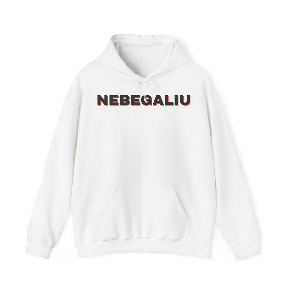 Džemperis su gobtuvu „Nebegaliu“