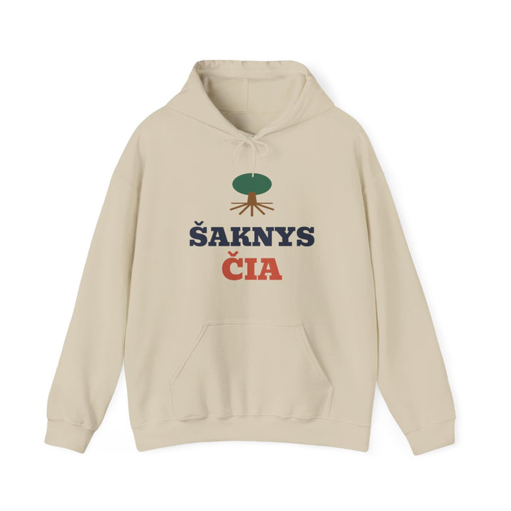 Šaknys čia
