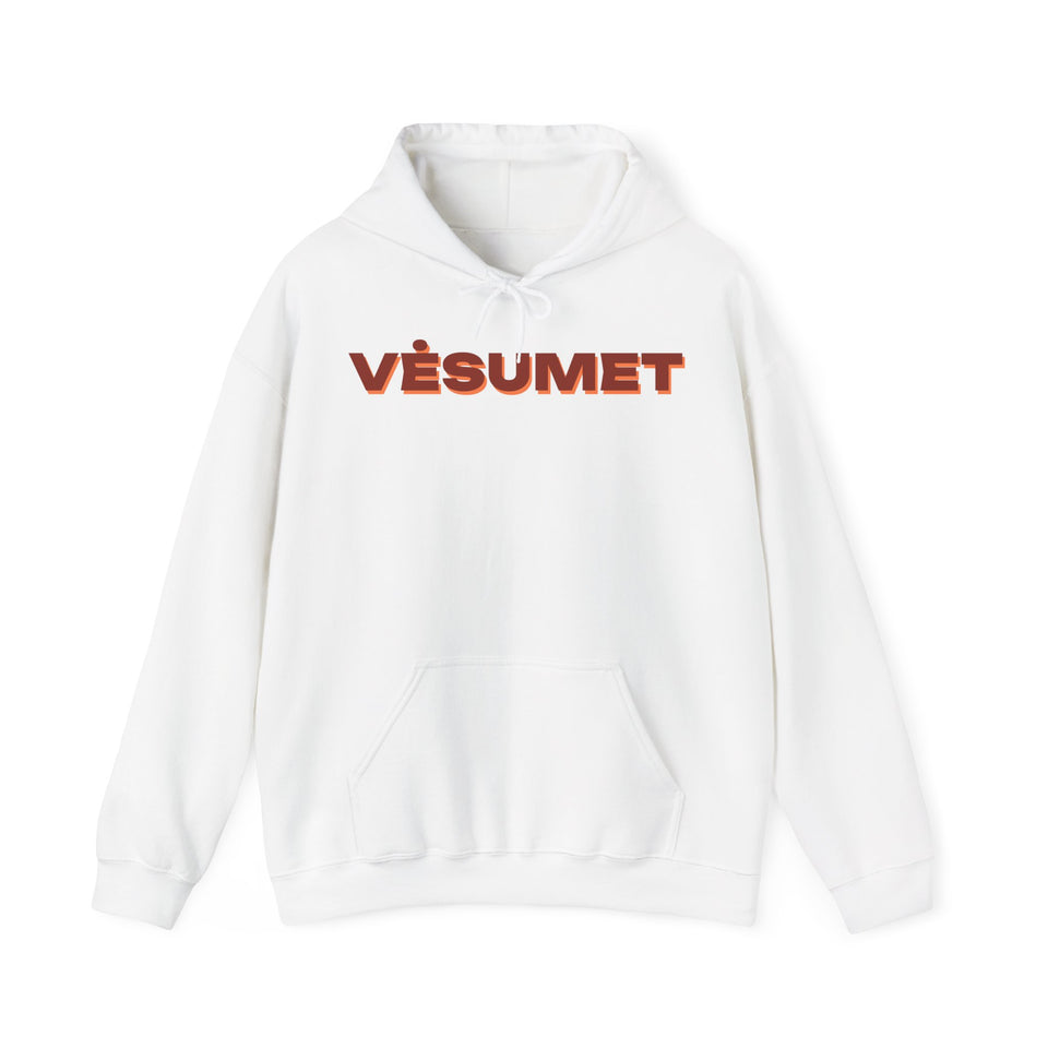 Džemperis su gobtuvu „Vėsumet“