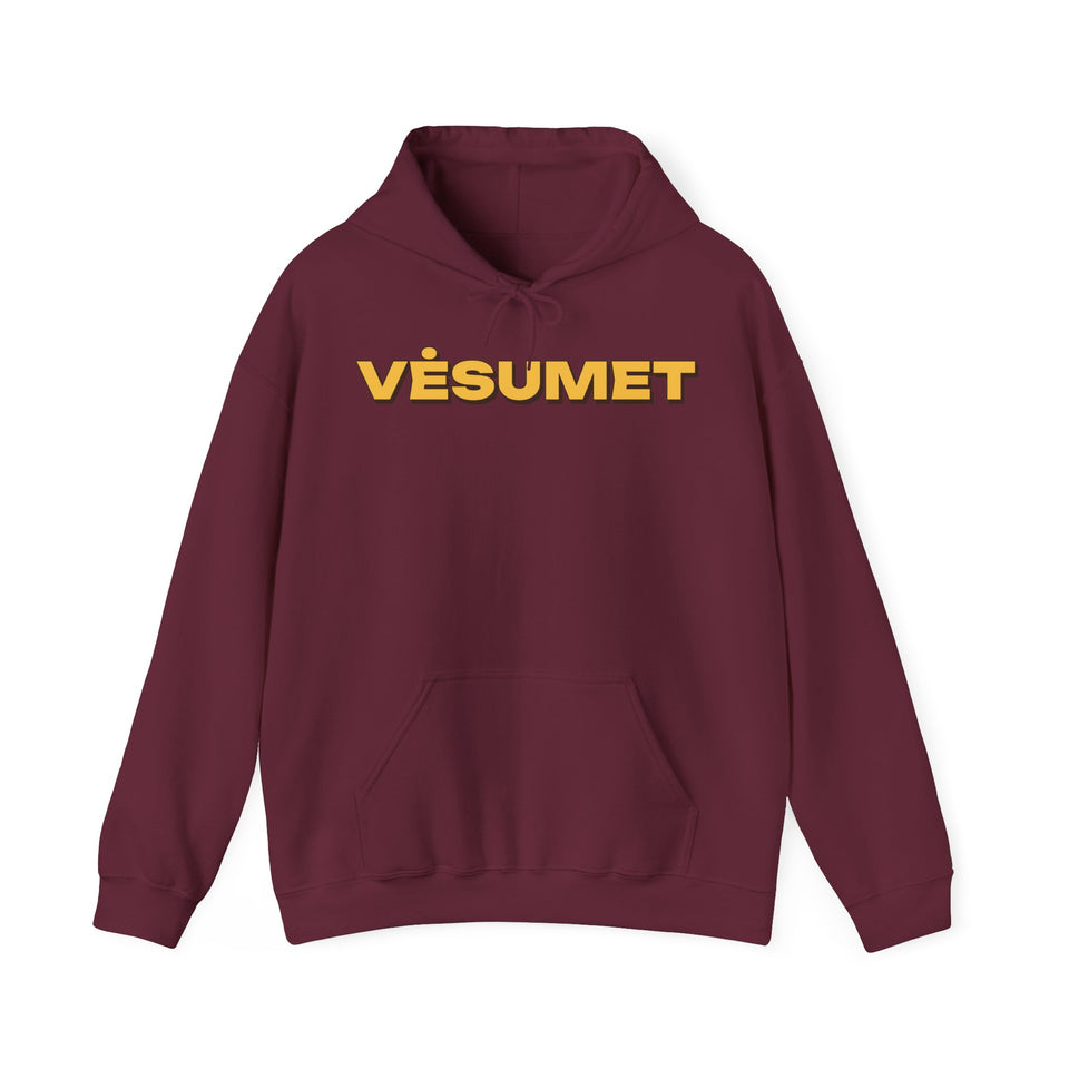 Džemperis su gobtuvu „Vėsumet“